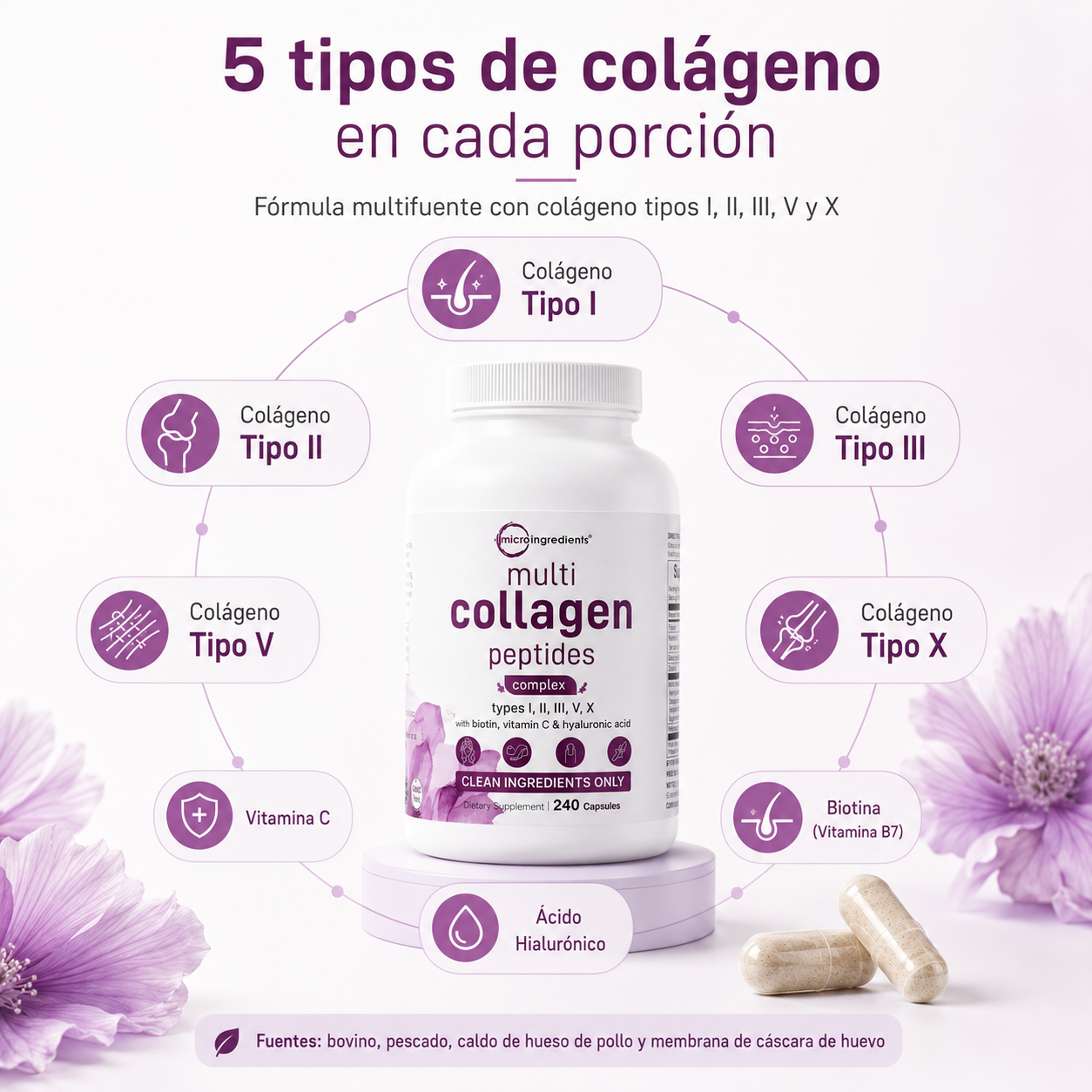 Micro Ingredients Multi Collagen Peptides 240 Cápsulas | Colágeno Tipos I, II, III, V y X con Biotina, Vitamina C y Ácido Hialurónico
