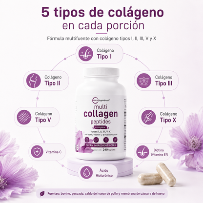 Micro Ingredients Multi Collagen Peptides 240 Cápsulas | Colágeno Tipos I, II, III, V y X con Biotina, Vitamina C y Ácido Hialurónico