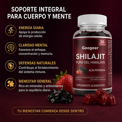 Gomitas de Shilajit Puro del Himalaya Googeer – Alta Potencia para Energía, Vitalidad, Enfoque Mental y Bienestar Diario | 30 Gomitas