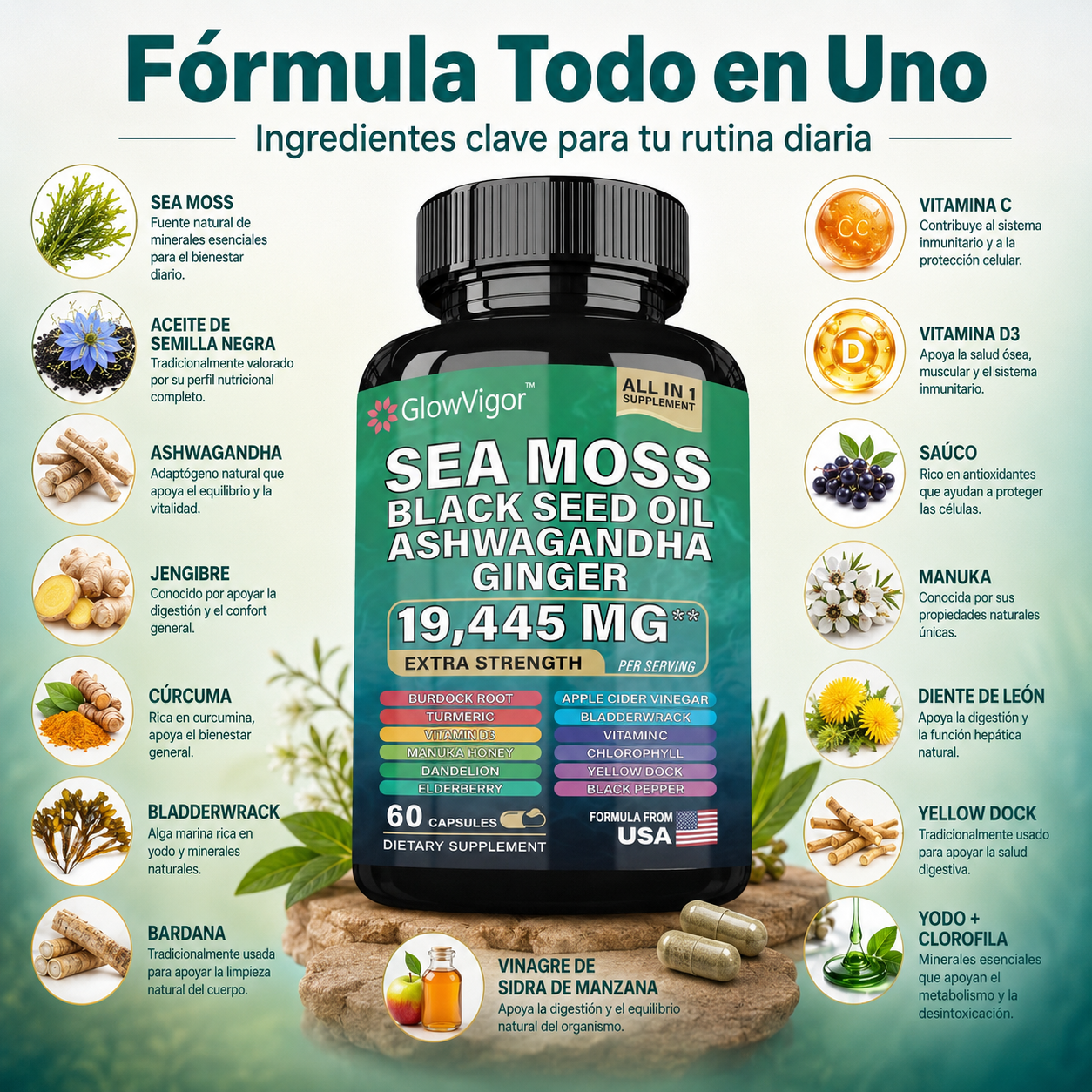 GlowVigor Sea Moss Black Seed Oil Ashwagandha Ginger, Suplemento All in 1 con Cúrcuma, Bladderwrack, Bardana, Vitamina C, D3, Saúco, Manuka y Clorofila, 60 Cápsulas