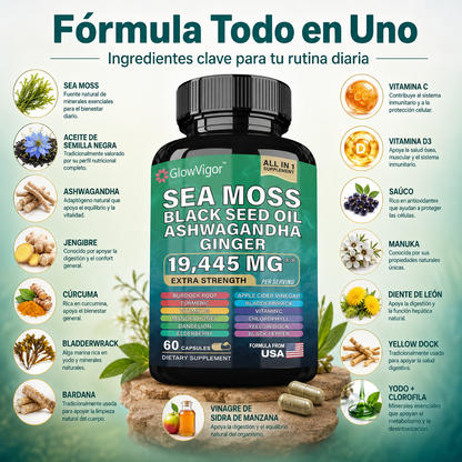 GlowVigor Sea Moss Black Seed Oil Ashwagandha Ginger, Suplemento All in 1 con Cúrcuma, Bladderwrack, Bardana, Vitamina C, D3, Saúco, Manuka y Clorofila, 60 Cápsulas
