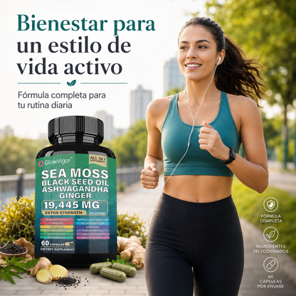 GlowVigor Sea Moss Black Seed Oil Ashwagandha Ginger, Suplemento All in 1 con Cúrcuma, Bladderwrack, Bardana, Vitamina C, D3, Saúco, Manuka y Clorofila, 60 Cápsulas