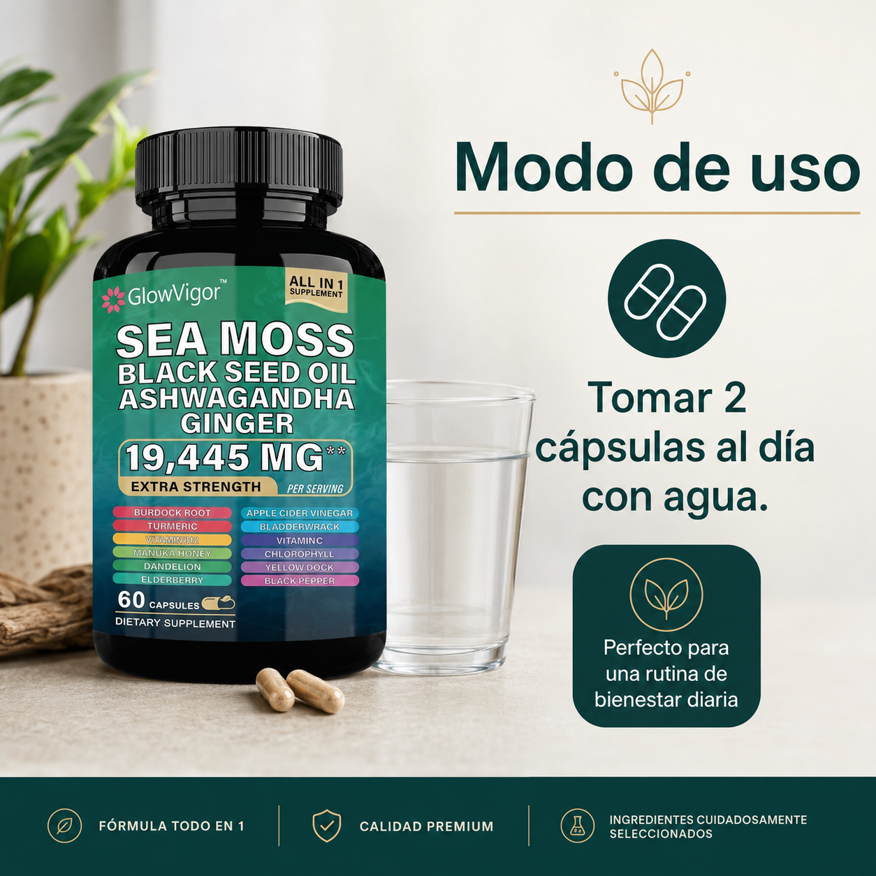 GlowVigor Sea Moss Black Seed Oil Ashwagandha Ginger, Suplemento All in 1 con Cúrcuma, Bladderwrack, Bardana, Vitamina C, D3, Saúco, Manuka y Clorofila, 60 Cápsulas