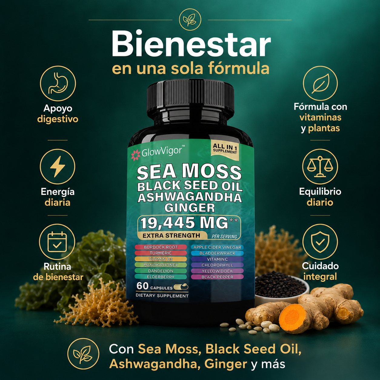 GlowVigor Sea Moss Black Seed Oil Ashwagandha Ginger, Suplemento All in 1 con Cúrcuma, Bladderwrack, Bardana, Vitamina C, D3, Saúco, Manuka y Clorofila, 60 Cápsulas