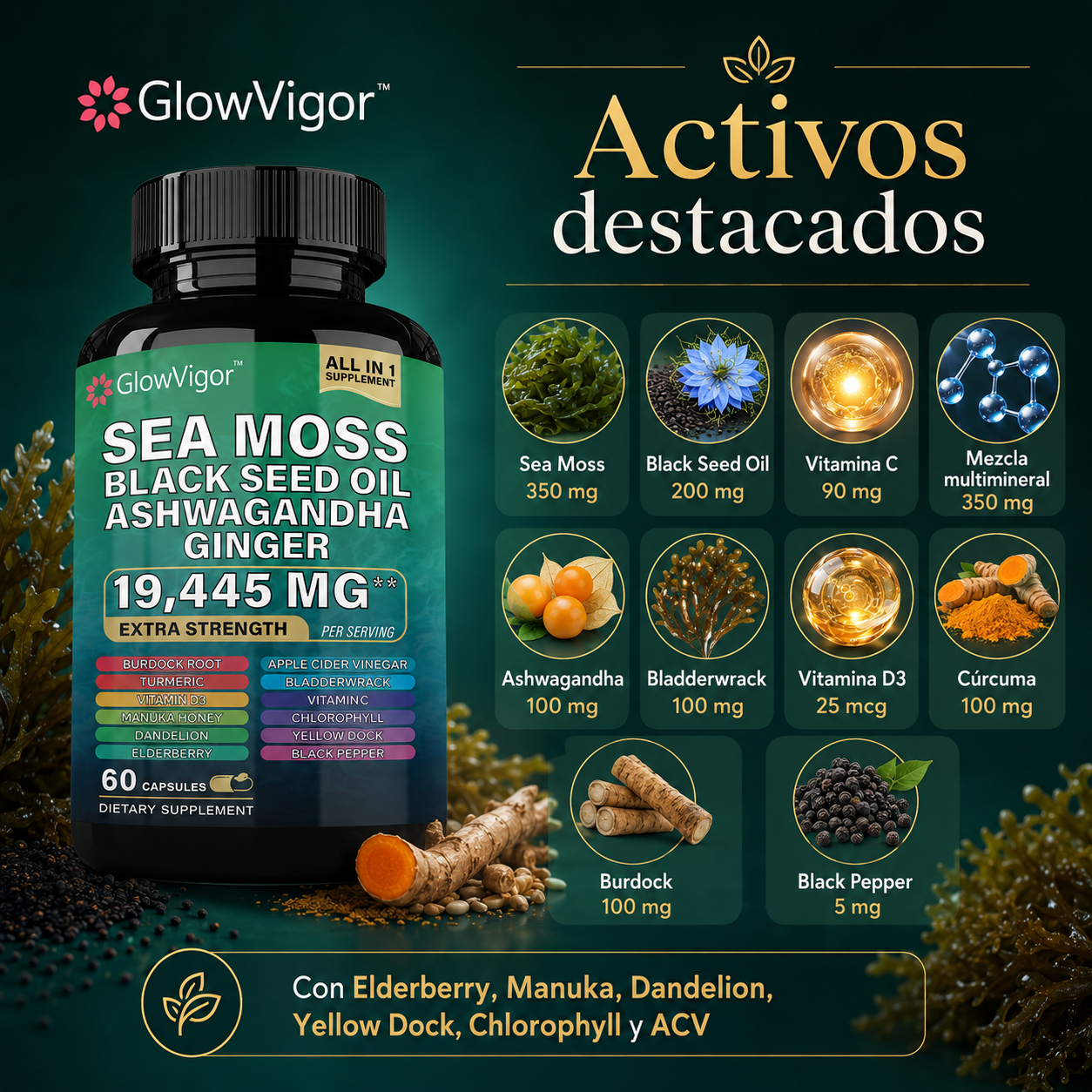 GlowVigor Sea Moss Black Seed Oil Ashwagandha Ginger, Suplemento All in 1 con Cúrcuma, Bladderwrack, Bardana, Vitamina C, D3, Saúco, Manuka y Clorofila, 60 Cápsulas