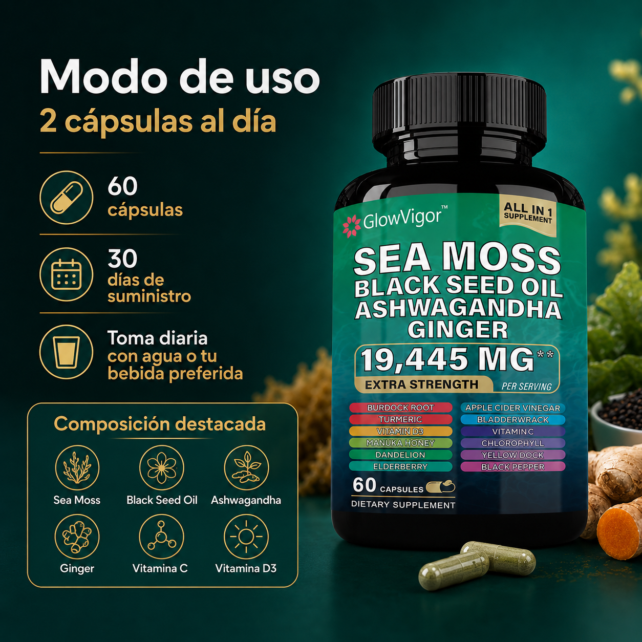 GlowVigor Sea Moss Black Seed Oil Ashwagandha Ginger, Suplemento All in 1 con Cúrcuma, Bladderwrack, Bardana, Vitamina C, D3, Saúco, Manuka y Clorofila, 60 Cápsulas