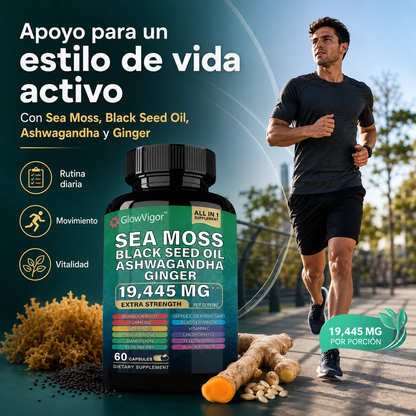 GlowVigor Sea Moss Black Seed Oil Ashwagandha Ginger, Suplemento All in 1 con Cúrcuma, Bladderwrack, Bardana, Vitamina C, D3, Saúco, Manuka y Clorofila, 60 Cápsulas