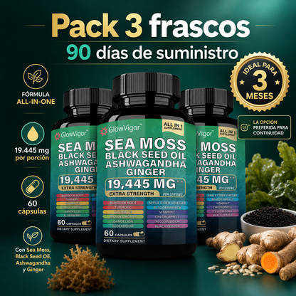 GlowVigor Sea Moss Black Seed Oil Ashwagandha Ginger, Suplemento All in 1 con Cúrcuma, Bladderwrack, Bardana, Vitamina C, D3, Saúco, Manuka y Clorofila, 60 Cápsulas